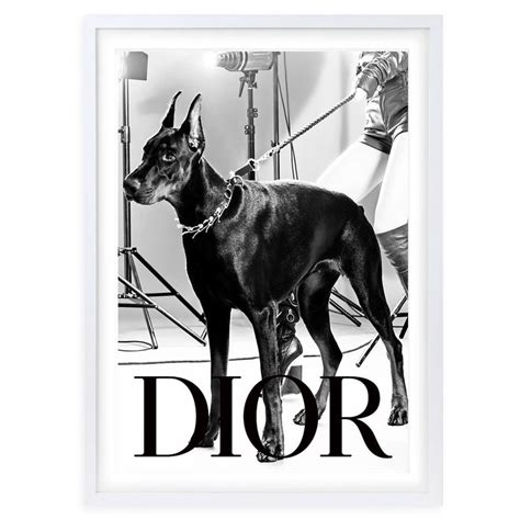 dior dog name|dior dog wall art.